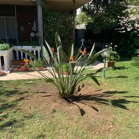 , Zona Santa Teresa