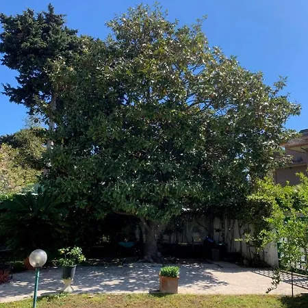 , Zona Santa Teresa * Anzio